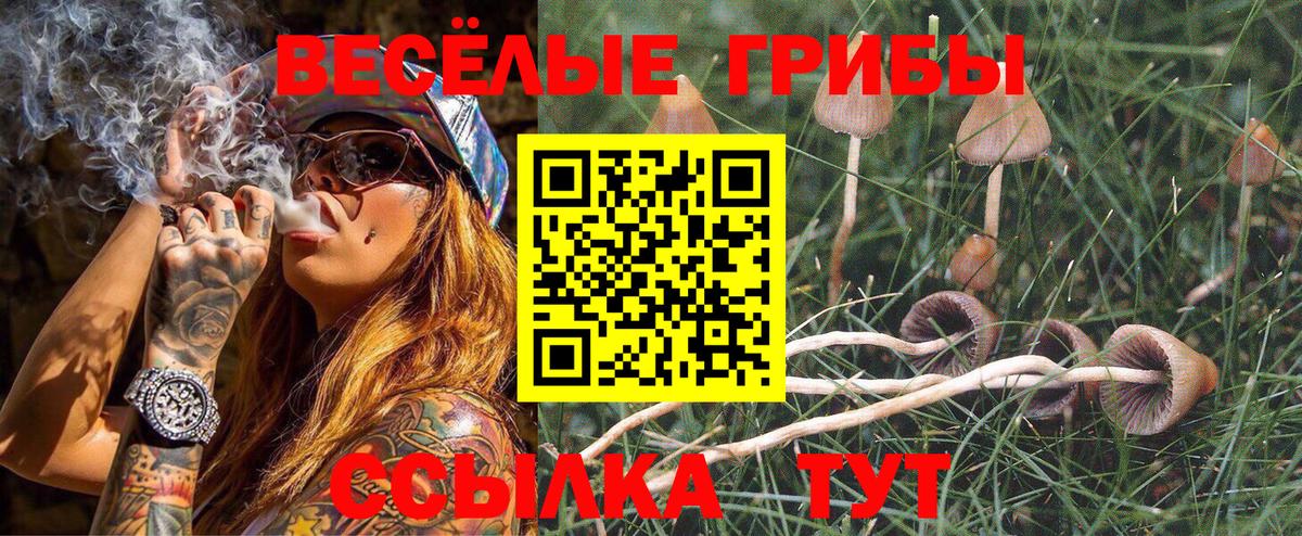 Галлюциногенные грибы мухоморы Барабинск